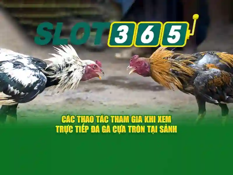An toàn và chi tiết thanh toán