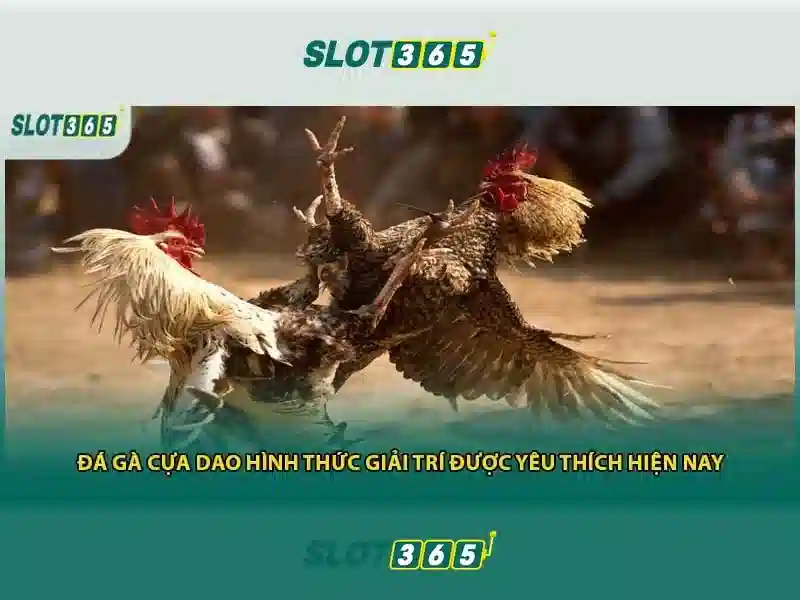 hanke bruins slot ouders.html - Trăng Xanh -