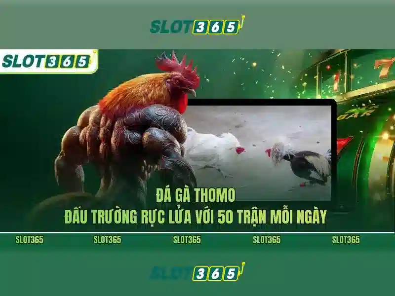 Giới thiệu Slot365