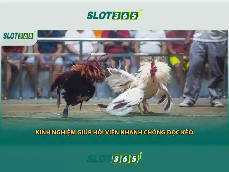 Đa dạng trò chơi và nhà cung cấp