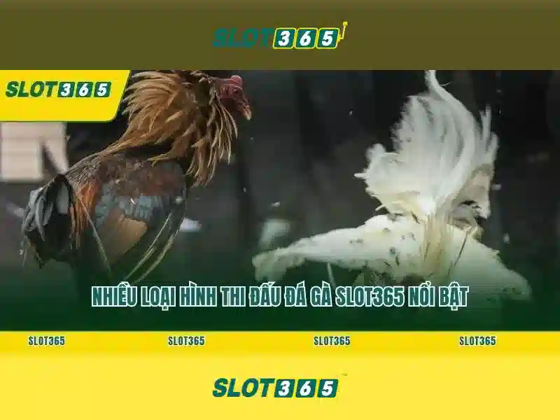 Giao diện người dùng và trải nghiệm chơi