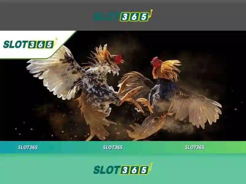 Slot365 là gì?