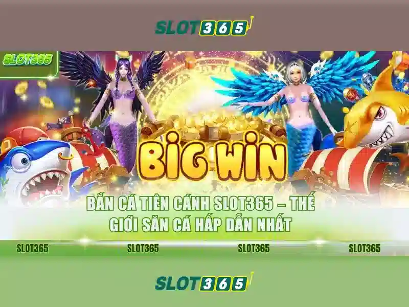 Giới thiệu về Slot365