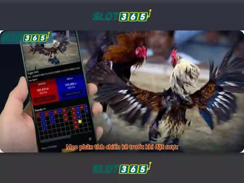 Slots video, cổ điển và jackpot