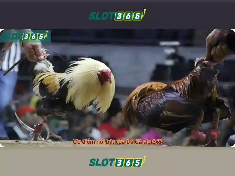 Slot365 – Đánh giá tổng quan và hướng dẫn chơi slot trực tuyến Giao diện nhà cái hoàn hảo