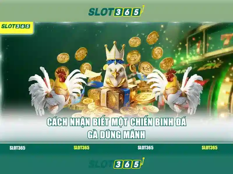 An toàn dữ liệu và bảo mật thanh toán