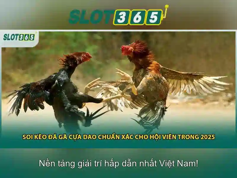 Tổng quan về Slot365
