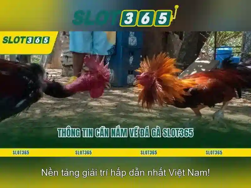 Slot365: Nền tảng quay số trực tuyến nổi bật Giao diện nhà cái hoàn hảo
