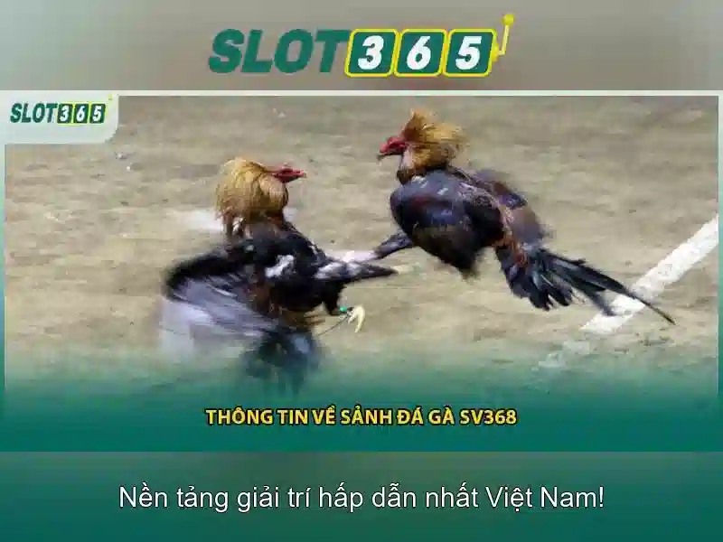Slot365: Trải nghiệm máy xèng trực tuyến đỉnh cao