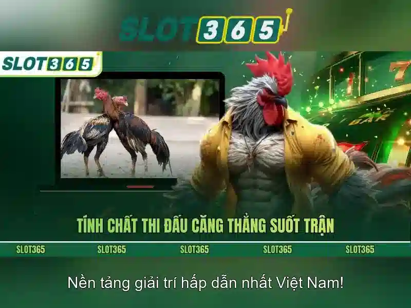Danh mục trò chơi và tính năng