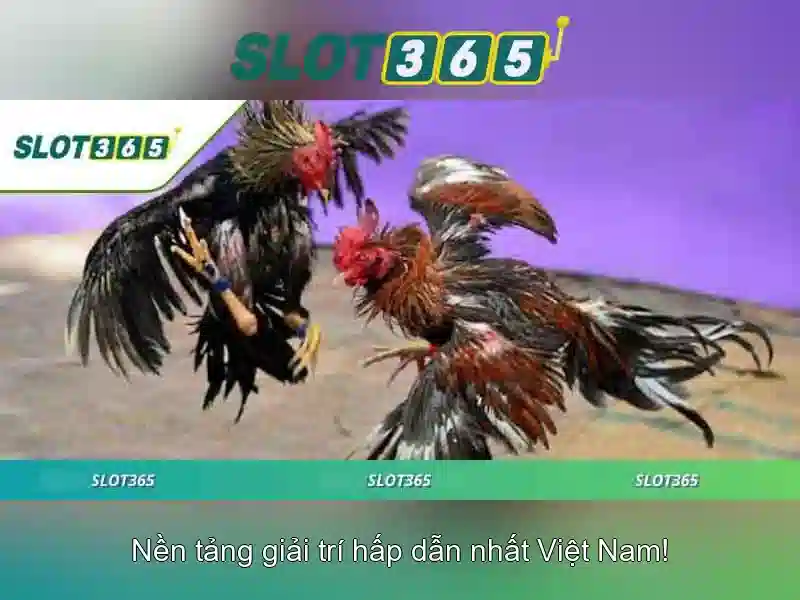 Giới thiệu Slot365