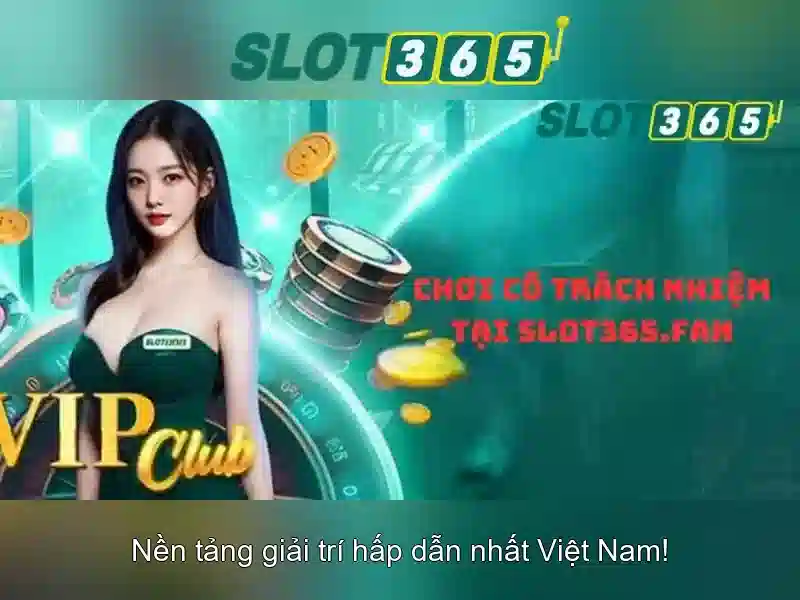 Tổng quan về Slot365