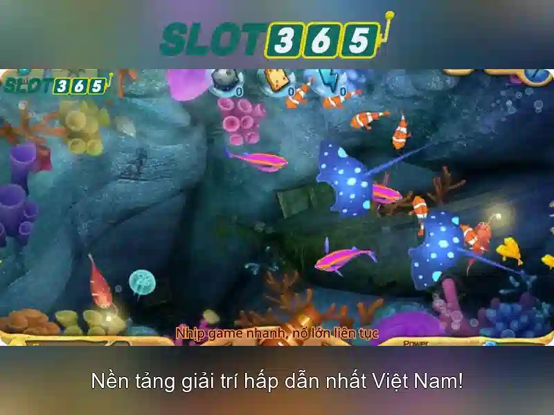 Giao diện nhà cái hoàn hảo