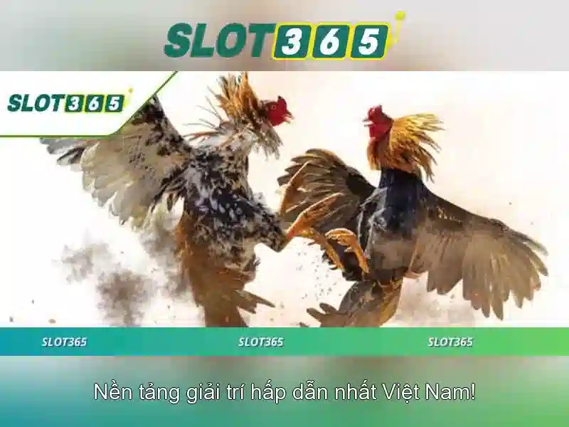 Slot365: Trải nghiệm chơi slot trực tuyến an toàn và thú vị Giao diện nhà cái hoàn hảo