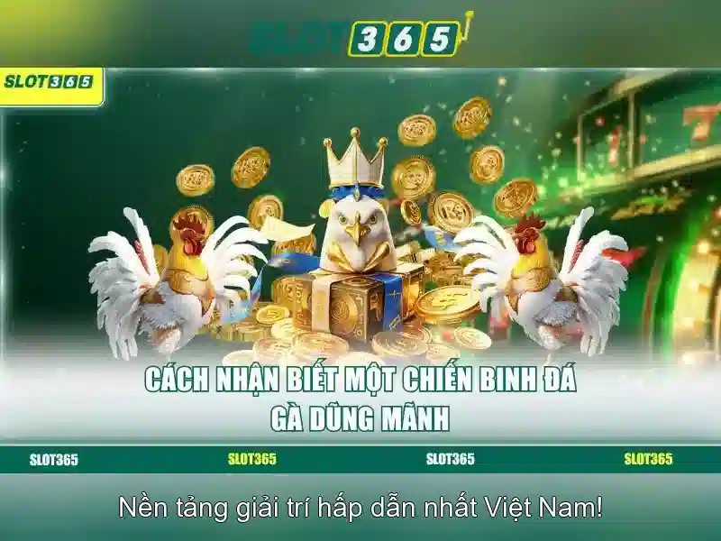 Slot365: Nền tảng casino trực tuyến hàng đầu với trò chơi slot đa dạng Giao diện nhà cái hoàn hảo