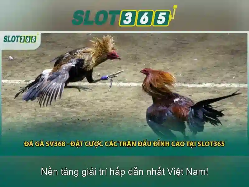 Slot365: Giới thiệu và những điều cần biết Giao diện nhà cái hoàn hảo