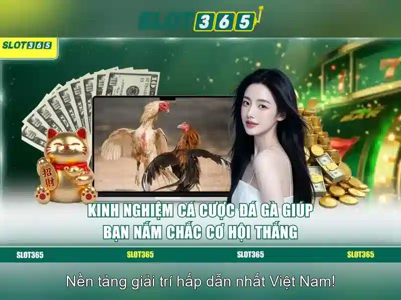 Trò chơi và nhà phát triển