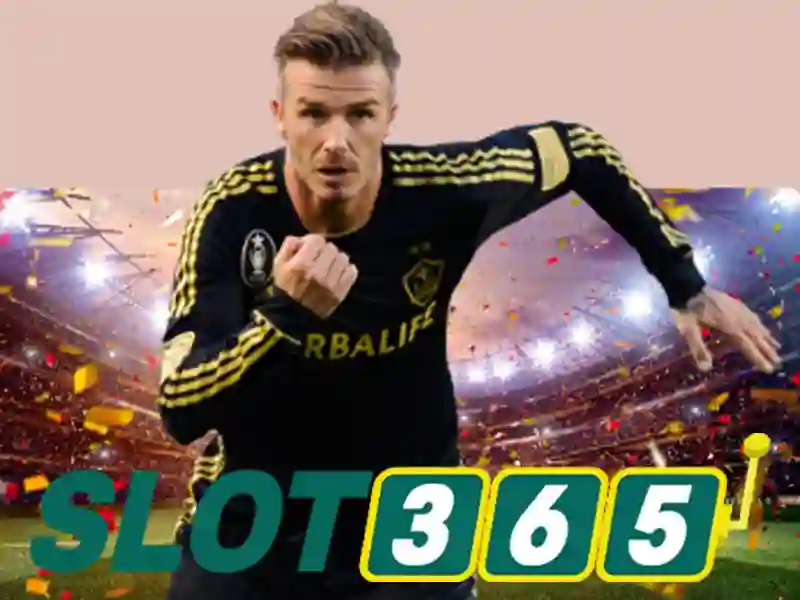 Slot365 là gì và tại sao nó được yêu thích?